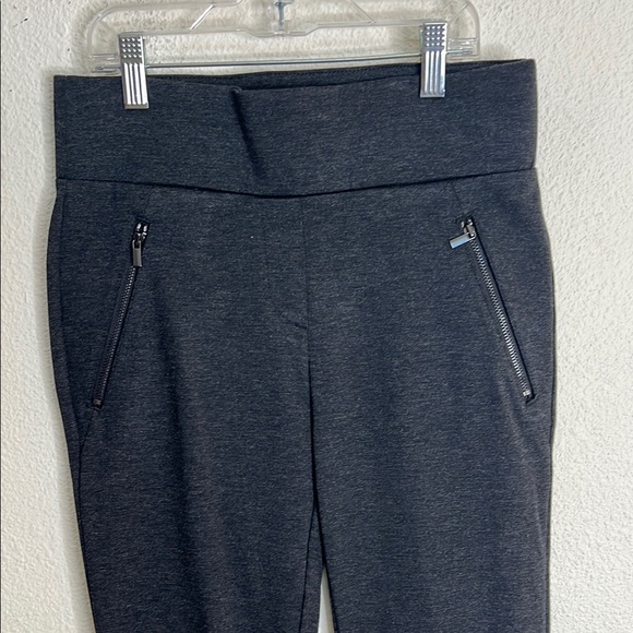 NWT Ann Taylor Loft Charcoal Gray Skinny BiStretch Comfort Pants w/Zip Pockets S - Picture 2 of 10